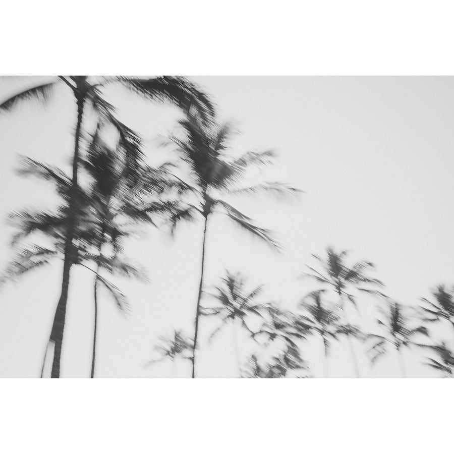 Large black and white landscape photography of Kauai Hawaii for home decor. 