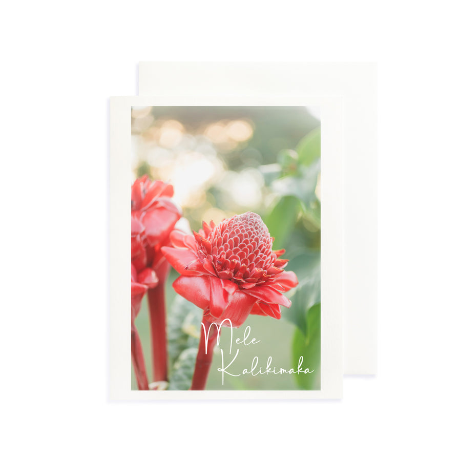 Mele Kalikimaka Greeting Card
