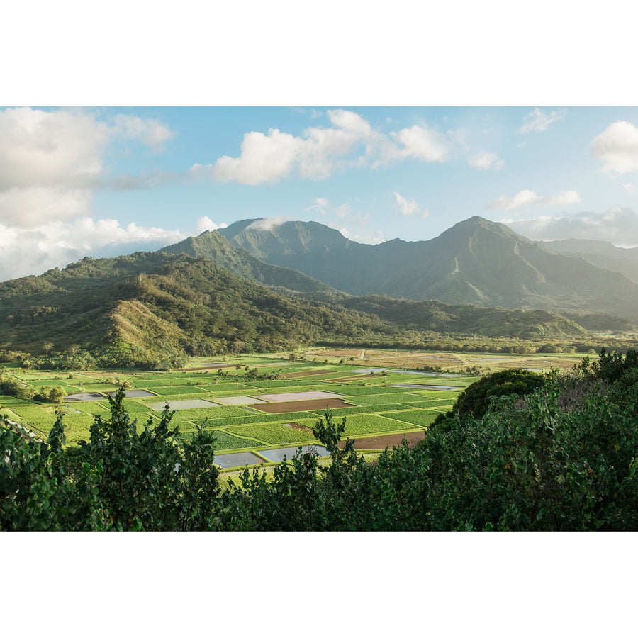 Modern hawaii photographic prints for your walls and home decor needs.