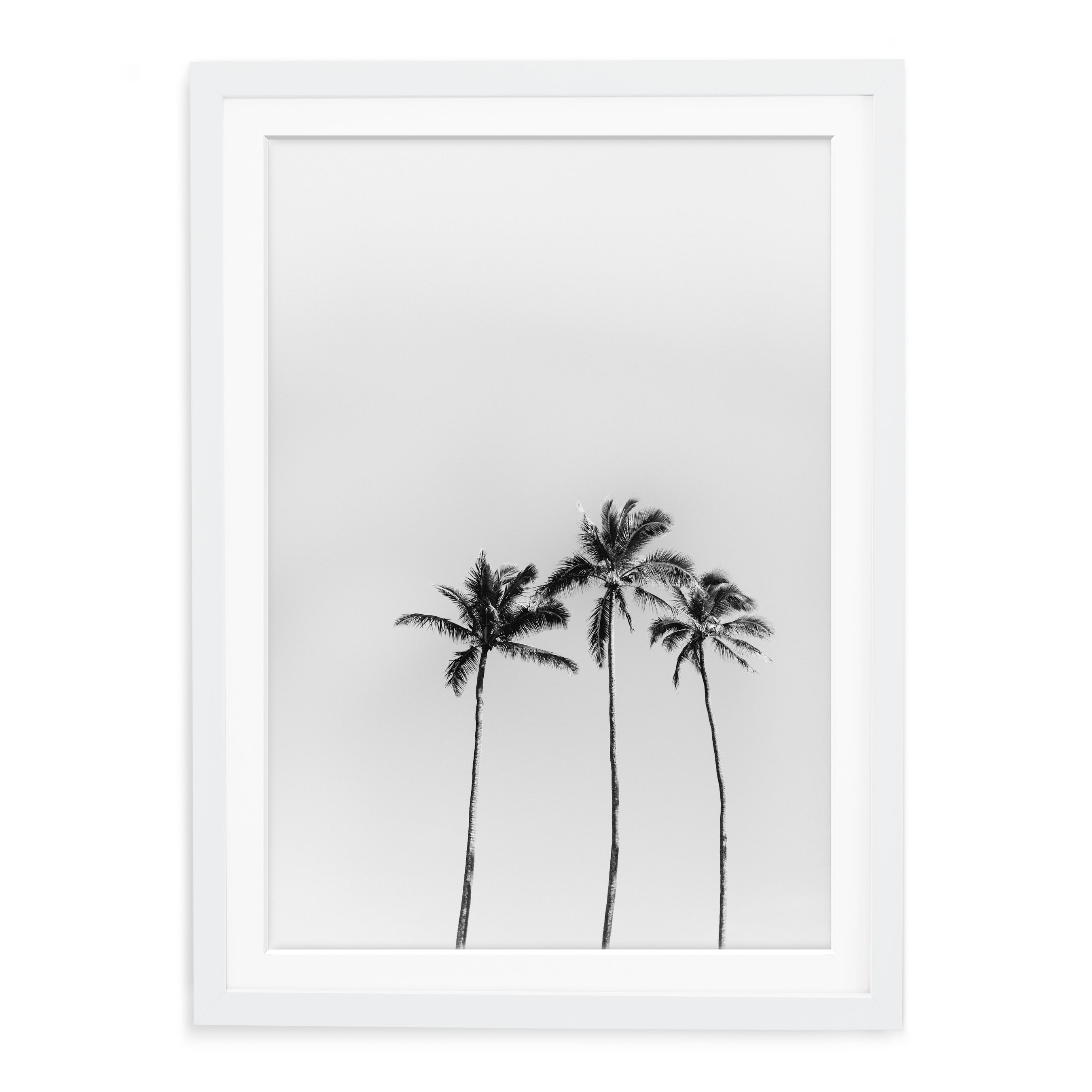 Shop Hawaii Fine Art Framed Prints – Sea Light Print Shop